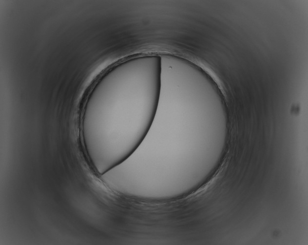 X0000095671075200801081034