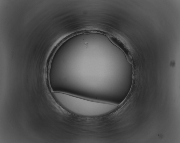 X0000095671076200801081034