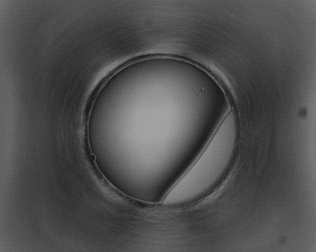 X0000095671077200801081034