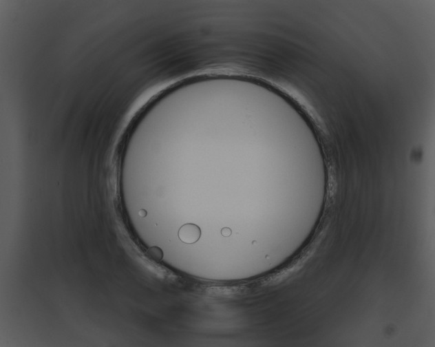 X0000095671078200801081034