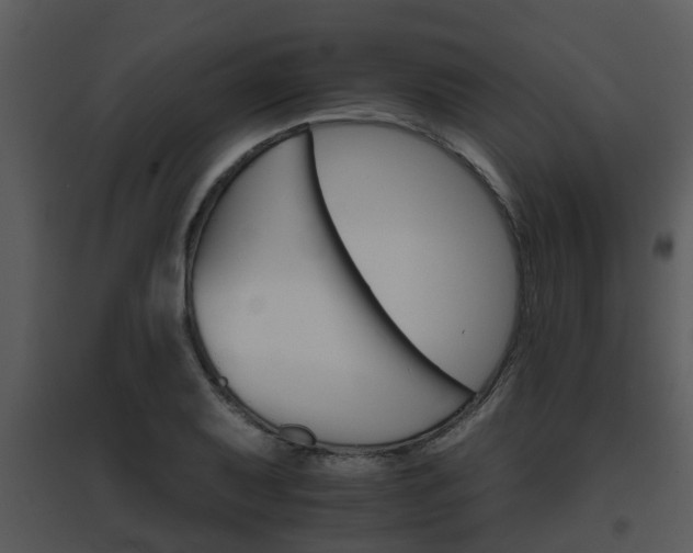 X0000095671079200801081034
