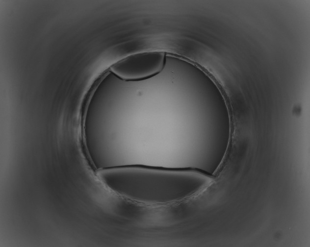 X0000095671080200801081034