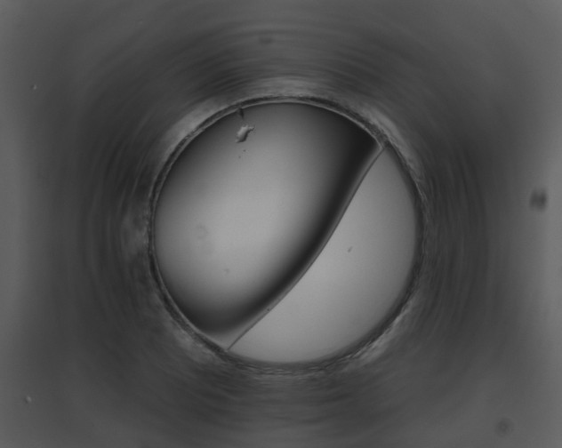 X0000095671081200801081034