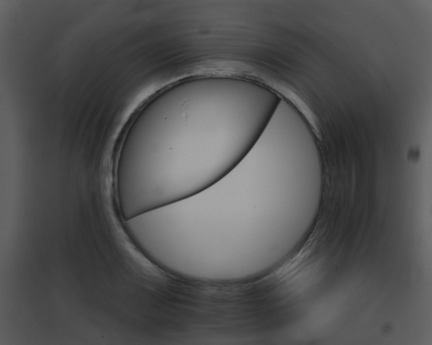 X0000095671083200801081034
