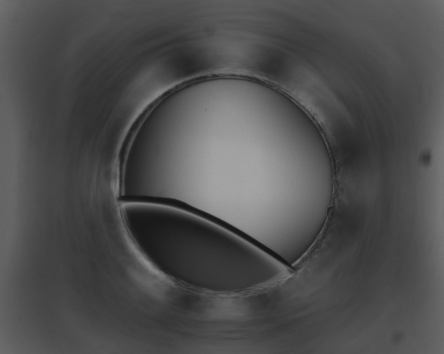 X0000095671084200801081034