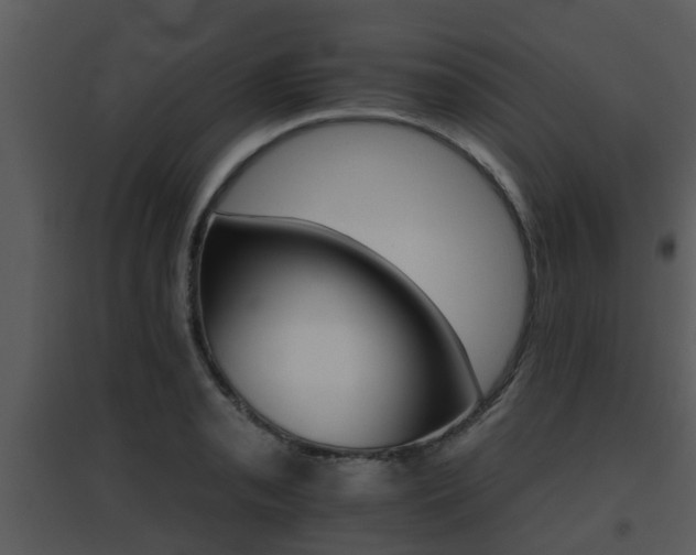 X0000095671085200801081034