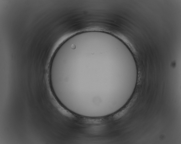 X0000095671086200801081034