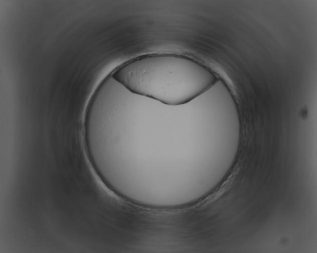 X0000095671087200801081034