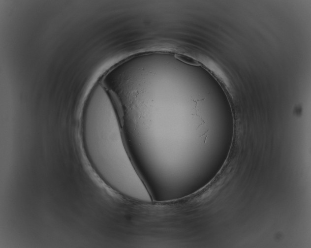 X0000095671088200801081034