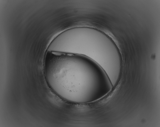 X0000095671089200801081034
