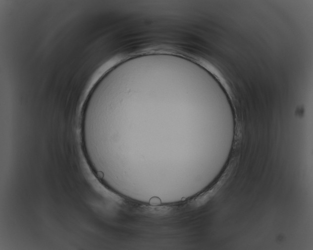 X0000095671090200801081034