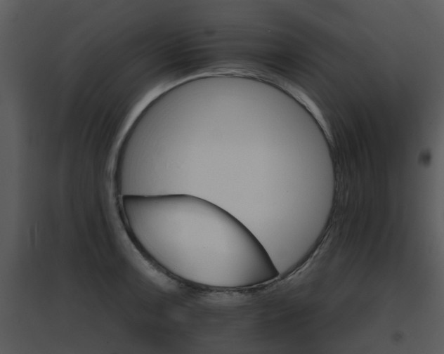 X0000095671091200801081034