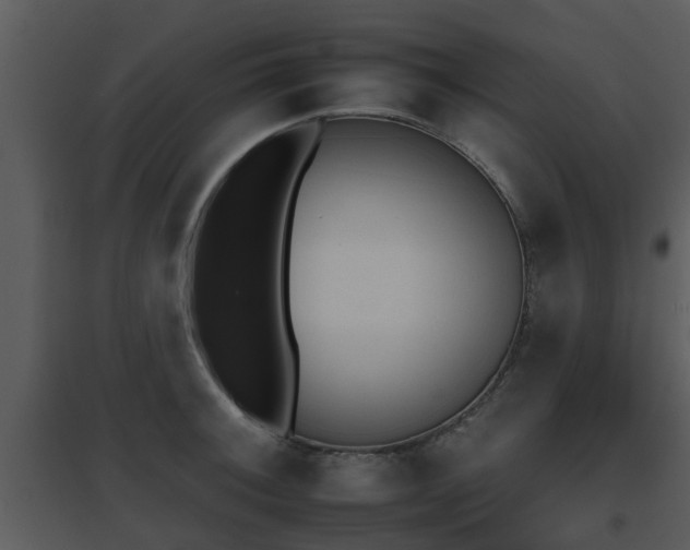X0000095671092200801081033