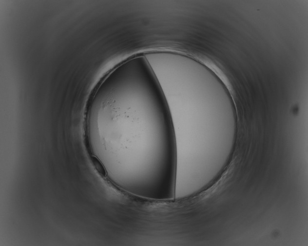 X0000095671093200801081033