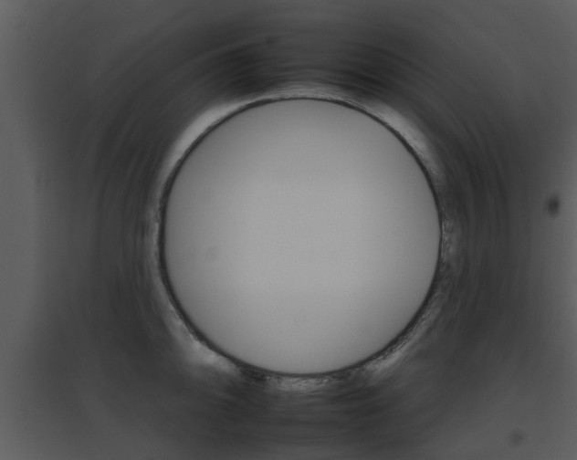 X0000095671094200801081033