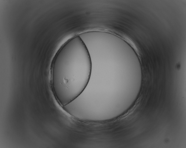 X0000095671095200801081033
