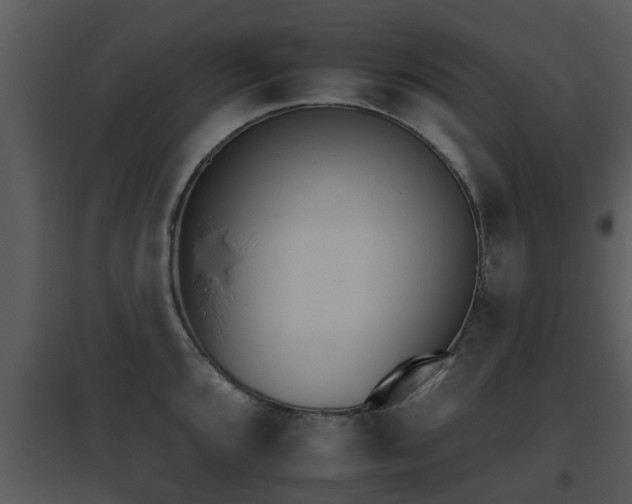 X0000095671096200801081033