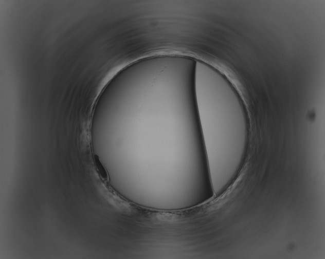X0000095671097200801081033