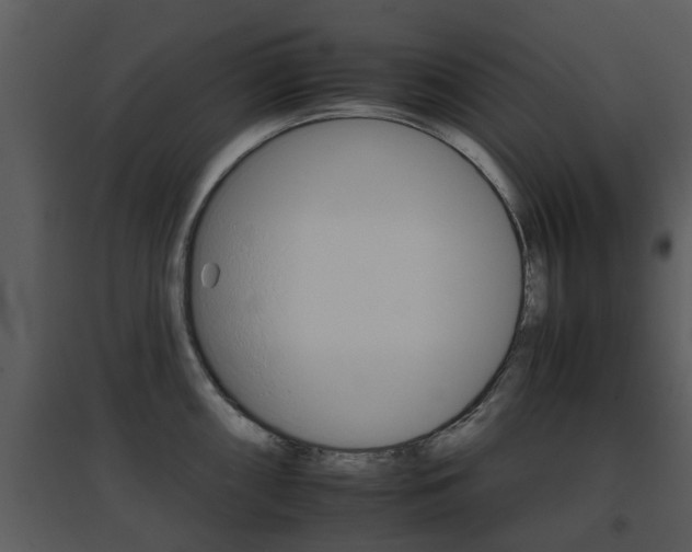 X0000095671098200801081033