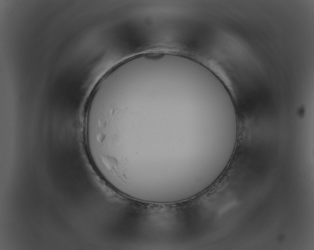 X0000095671099200801081033