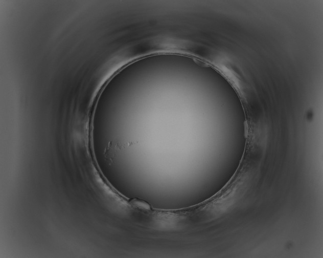 X0000095671100200801081033