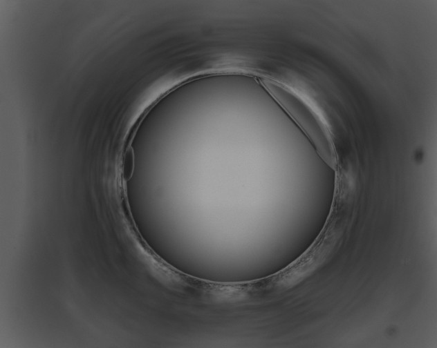 X0000095671101200801081033