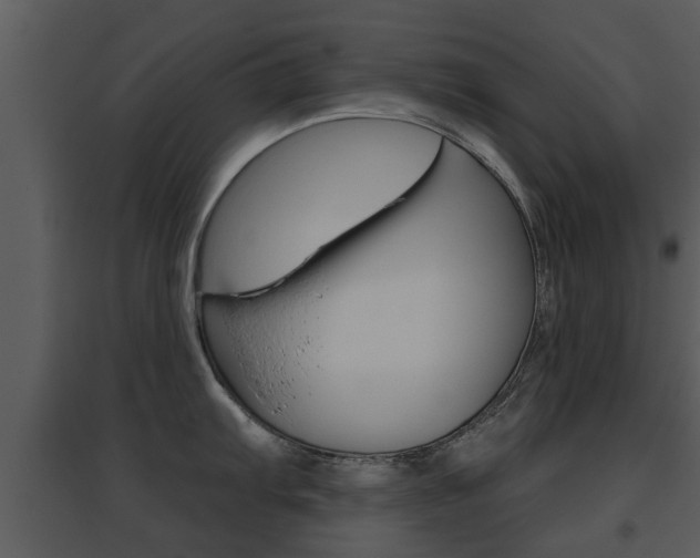 X0000095671103200801081033