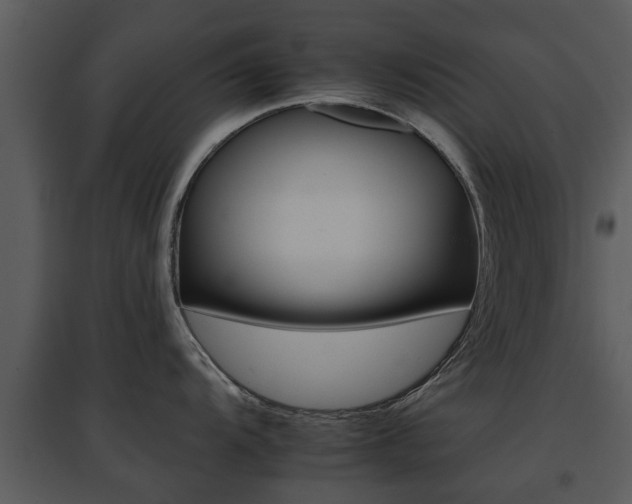 X0000095671104200801081033