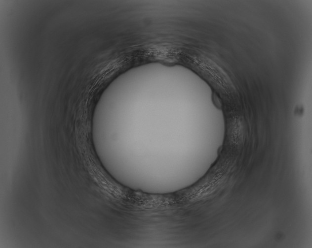 X0000095671105200801081033