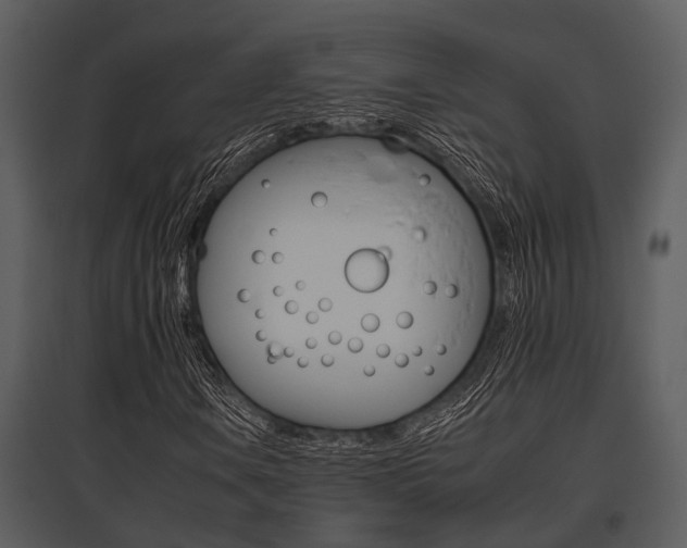 X0000095671106200801081033