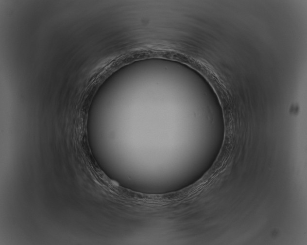 X0000095671110200801081033