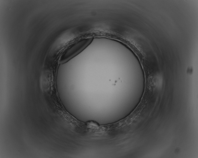 X0000095671111200801081033