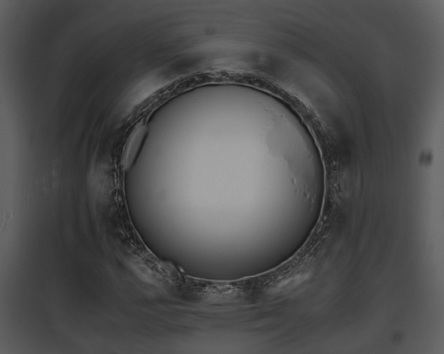 X0000095671112200801081033