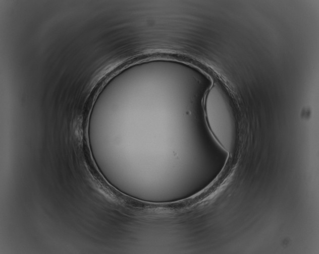 X0000095671113200801081033