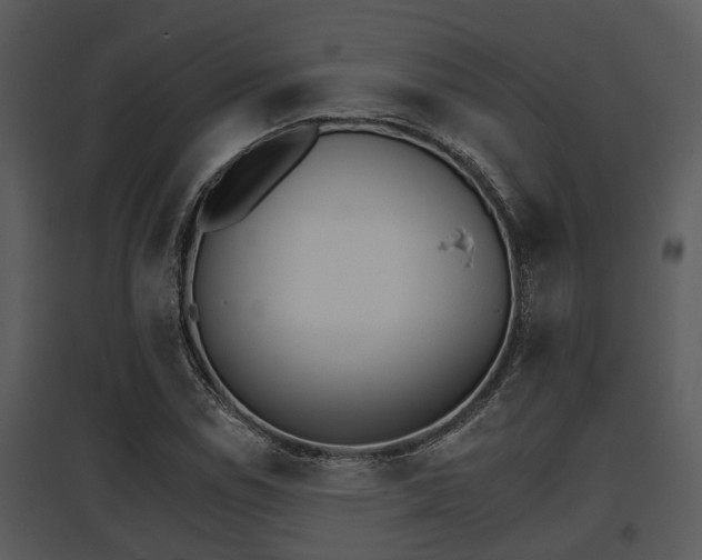 X0000095671114200801081033