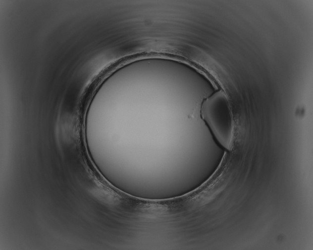 X0000095671115200801081033