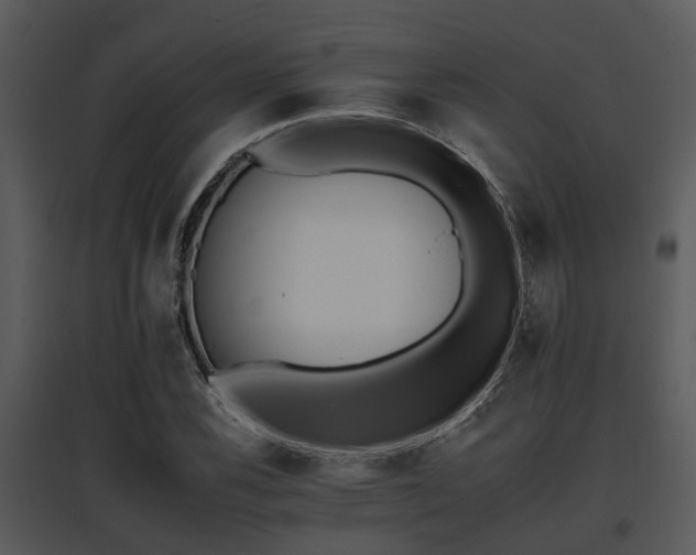 X0000095671116200801081033