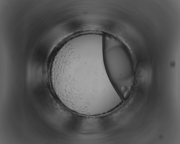 X0000095671117200801081033