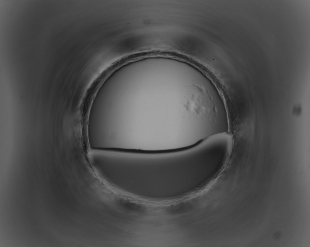 X0000095671118200801081033