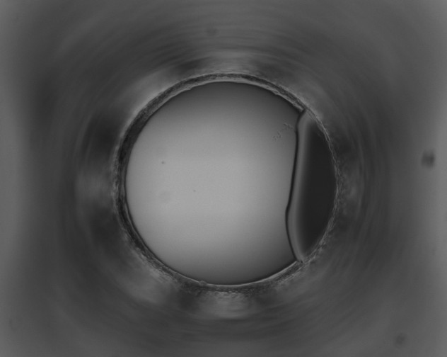 X0000095671119200801081033