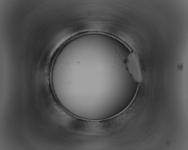 X0000095671120200801081033