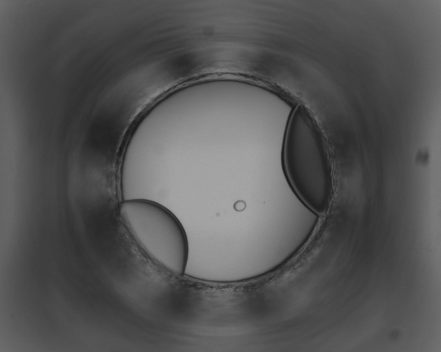 X0000095671121200801081033