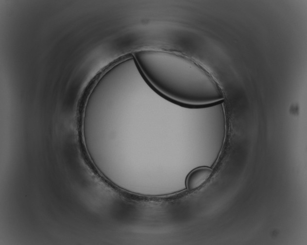X0000095671122200801081033