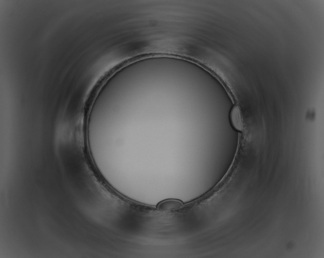X0000095671123200801081033