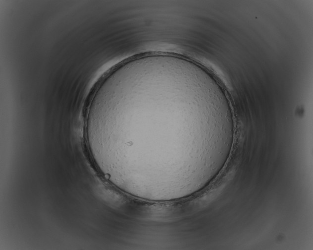 X0000095671125200801081033