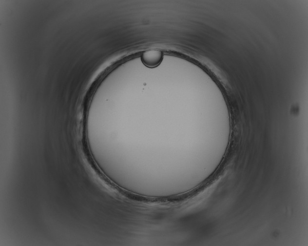 X0000095671126200801081033