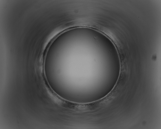X0000095671128200801081033