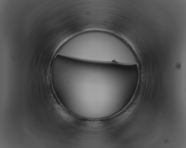 X0000095671129200801081033