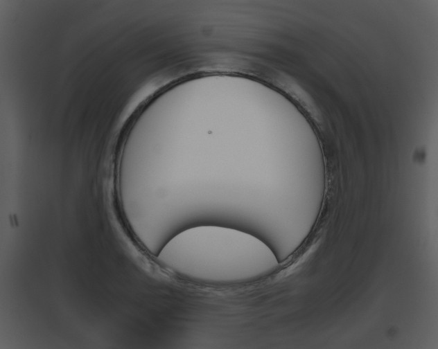 X0000095671130200801081033