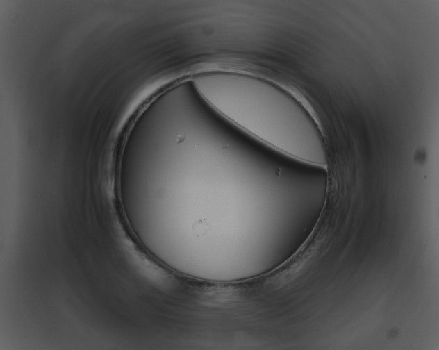 X0000095671131200801081033